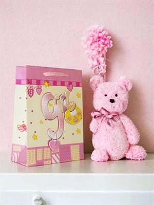 Hoş Geldin Bebek Baby Shower Girl Bebek Karton Hediye Çantası 24x18x8 Cm 