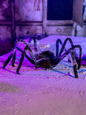 Cadılar Bayramı Peluş Örümcek Halloween Parti Dekoru Siyah 75 cm