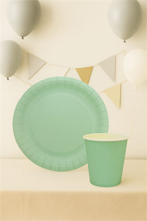 Karton Tabak Bardak Set Doğum Günü Parti Seti Mint Yeşil 8 Adet 