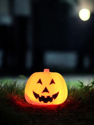 Cadılar Bayramı Işıklı Balkabağı Halloween Parti Dekorasyonu 25 cm