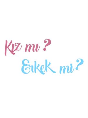Cinsiyet Belirleme Partisi Kız Mı Erkek Mi Yazılı Kaligrafi Banner 