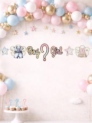 Boy or Girl Cinsiyet Belirleme Partisi Banner Süsü