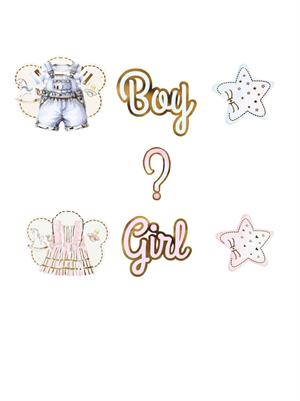 Boy or Girl Cinsiyet Belirleme Partisi Banner Süsü