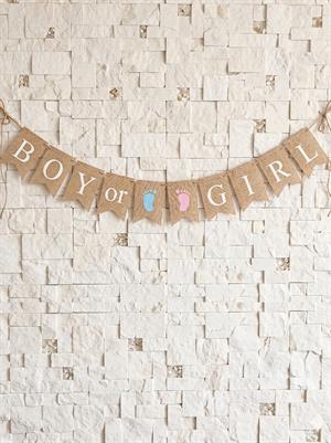 Boy or Girl Jüt Görünümlü Banner – Cinsiyet Öğrenme Partisi Süsü