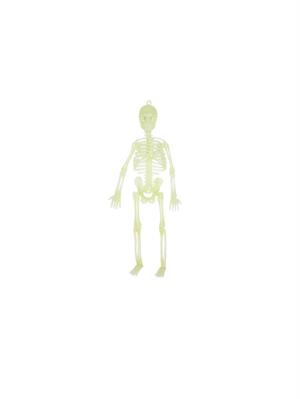 Cadılar Bayramı Fosforlu İskelet  Asılabilir Halloween Parti Dekoru 20 cm