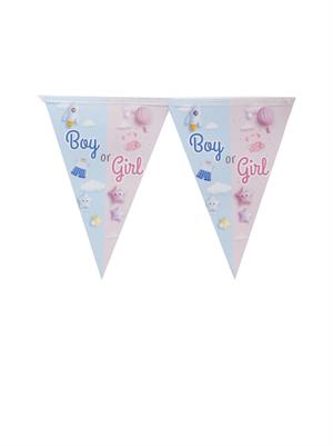 Cinsiyet Belirleme Partisi Süsü – Boy or Girl Üçgen Flama Banner (Mavi & Pembe) 