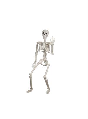 Cadılar Bayramı İskelet Figürlü Halloween Parti Dekoru 90 cm
