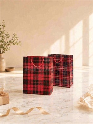 Ekose Desenli Karton Hediye Çantası – Alışveriş Çantası 18x23x10 cm 12li 