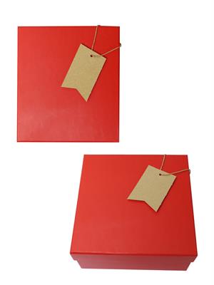 Kraft Hediye Paketi Etiketi Jüt İpli Dikdörtgen 12li