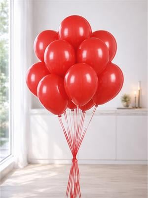 Kırmızı Balon 10Lu  12
