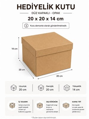 Kraft Kutu Karton Hediye Kutusu 20X20X14 Cm