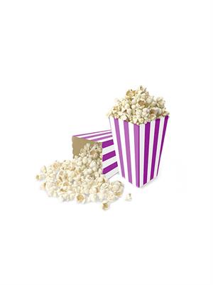 Mısır Kutusu Küçük Çizgili Mor 8Li