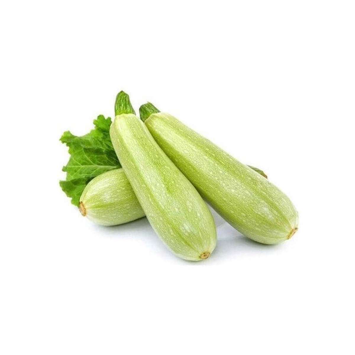Beyaz Sakız Kabak Tohumu 