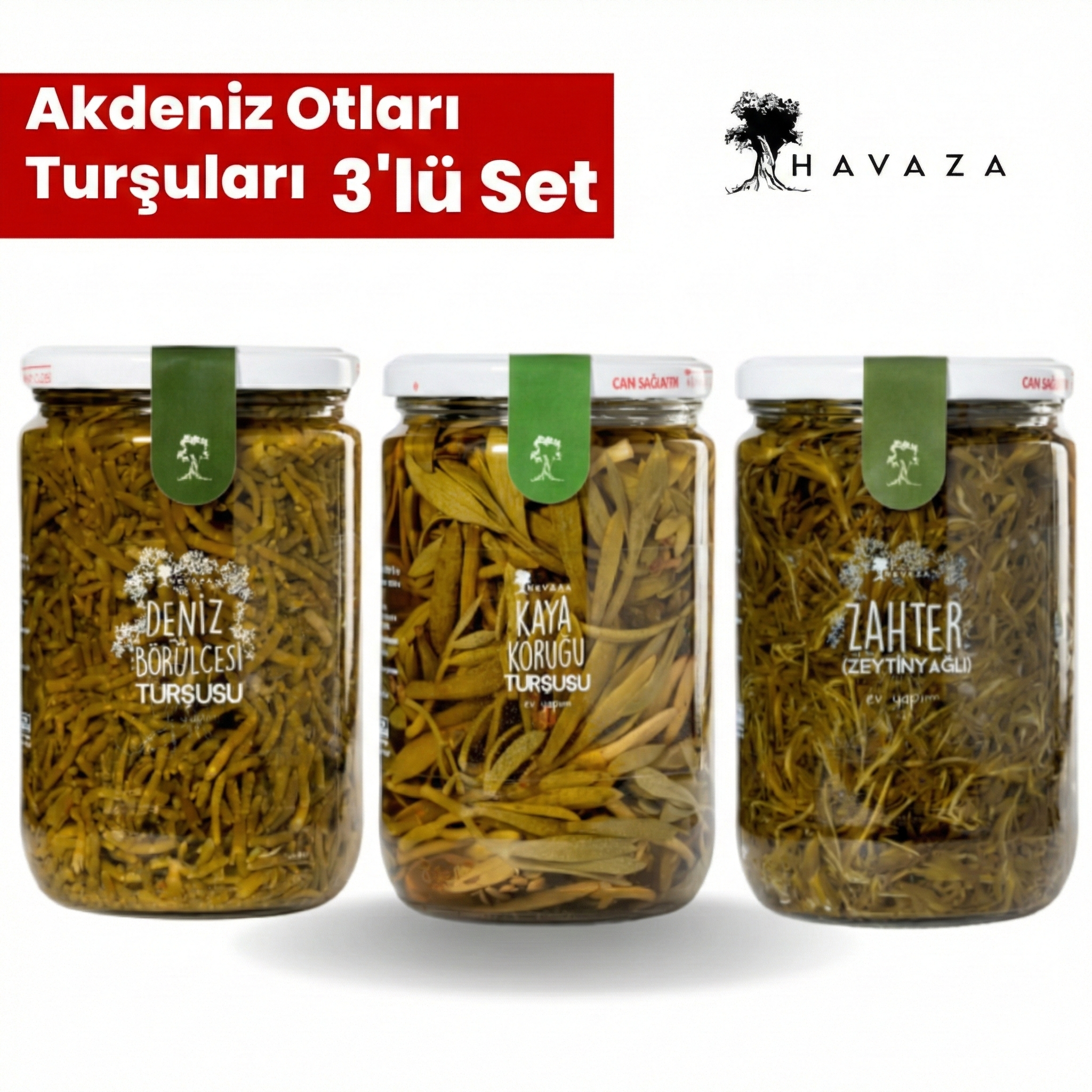 Havaza Akdeniz Otları Turşuları Deniz Börülcesi,Kaya Koruğu,Yağlı Zahter 720 gr.