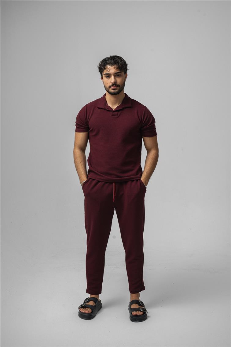 Polo Yaka Gizli Kabartma T-Shirt Mürdüm