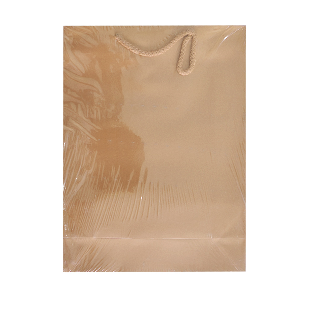 Hilal 26X40X8 Karton Çanta_10  -Kraft-Diğer Kırtasiye Ürünleri