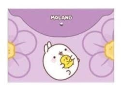 Keskin Molang A4 Çıtçıtlı Dosya (Plastik)Sert Kapak Defterler