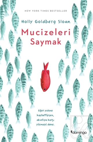 Mucizeleri SaymakDiğer Kırtasiye Ürünleri