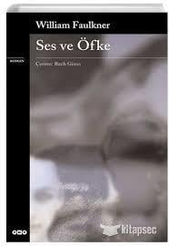 Ses Ve ÖfkeRoman