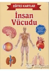 Teleskop Eğitici Bilgi Kartları İnsan VücuduEğitim