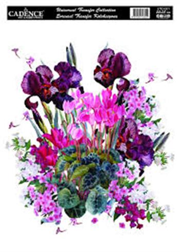 Cadence Hazır Transfer 25X35