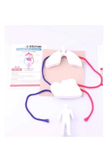 Misyon Dolaşım Sistemi Modeli St05076