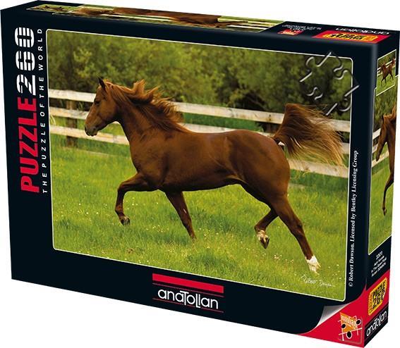 Anatolian Puzzle Açık Alanda 260 Parça 3301Anatolian Puzzle Açık Alanda 260 Parça 3301 - Kirtasiyem.netYapbozlar