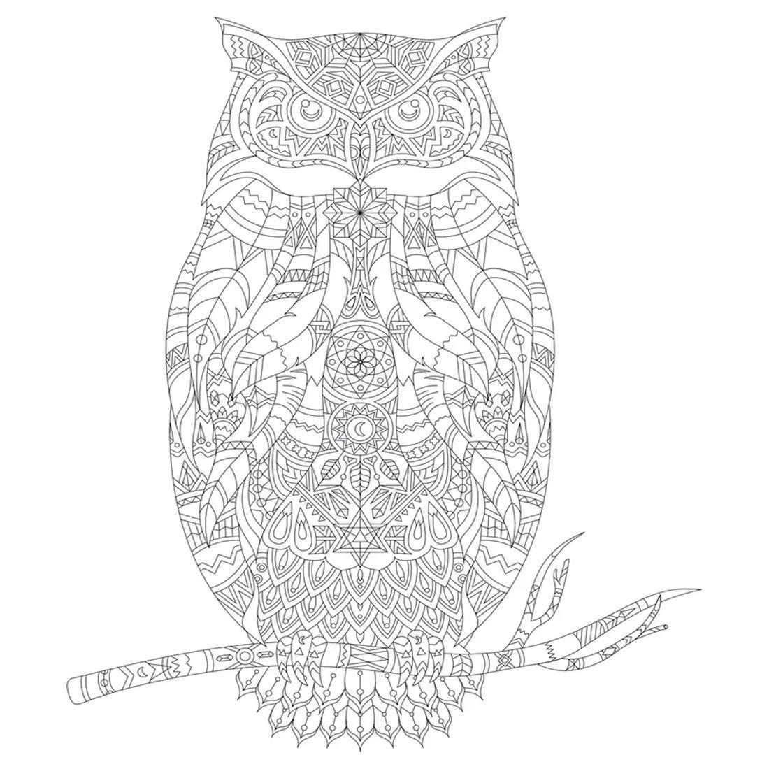 Artdeco Desenli Tuvaller Hayvanlar 40x50cm BaykuşArtdeco Desenli Tuvaller Hayvanlar 40x50cm Baykuş - Kırtasiyem.netTuvaller