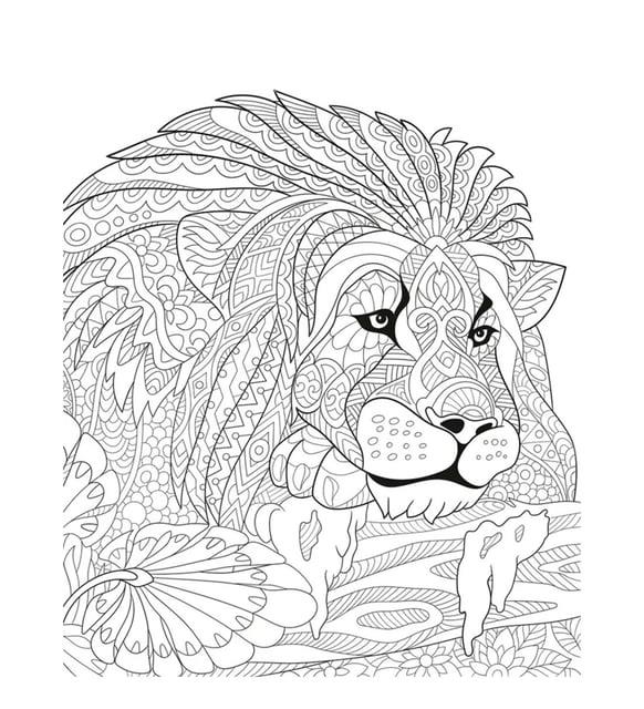 Artdeco Desenli Tuvaller Hayvanlar 40x50cm AslanArtdeco Desenli Tuvaller Hayvanlar 40x50cm Aslan - Kırtasiyem.netTuvaller