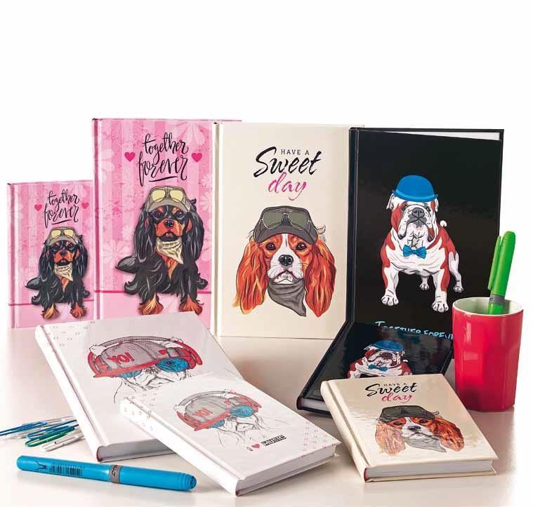 Bayındır Dog Serisi 14X20 120 Yaprak Çizgi Bad0856Bayındır Dog Serisi 14X20 120 Yaprak Çizgi Bad0856 - Kirtasiyem.netModelist Defterler