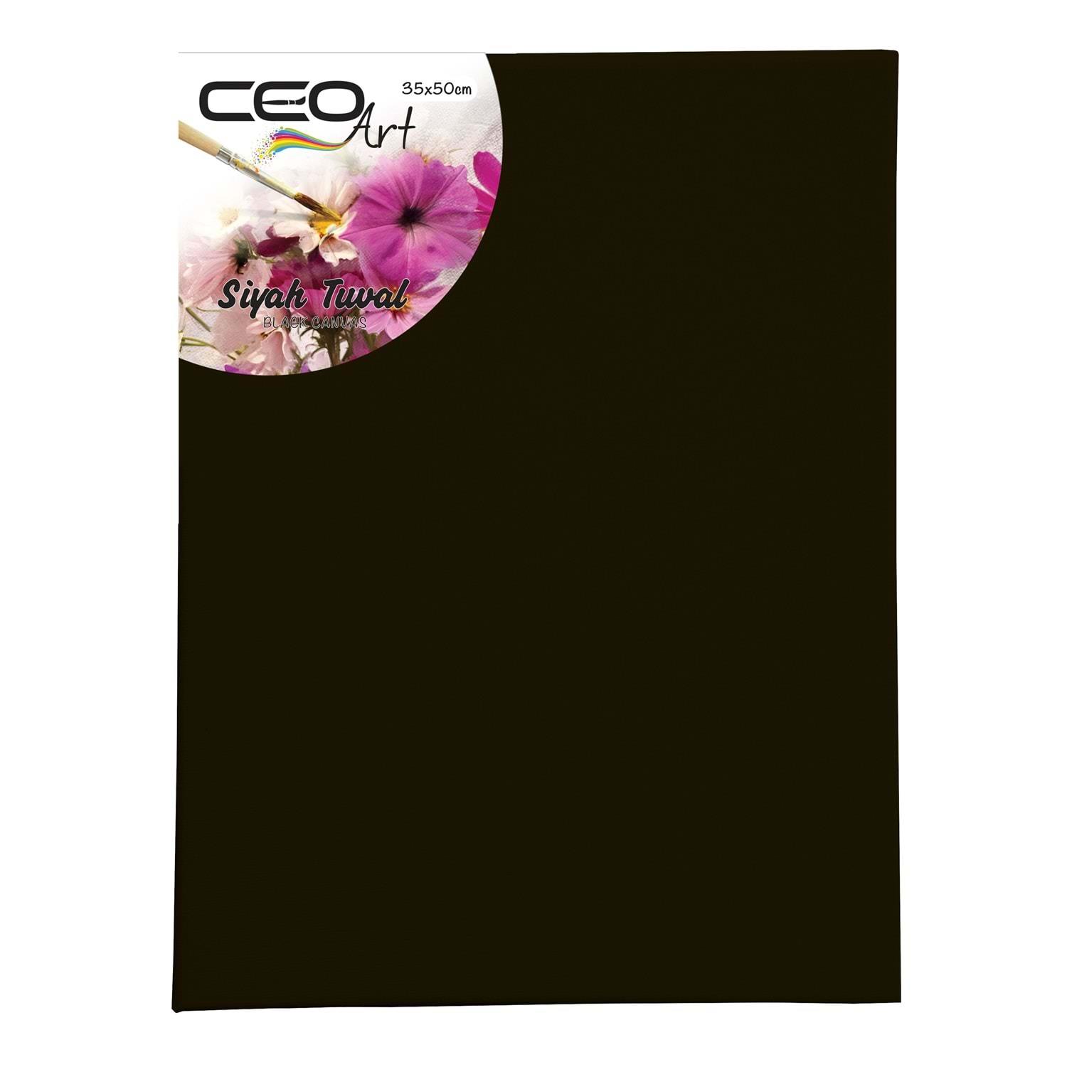 Ceoart Siyah Tuval 35X50 CmCeoart Siyah Tuval 35X50 Cm - Kırtasiyem.netTuvaller