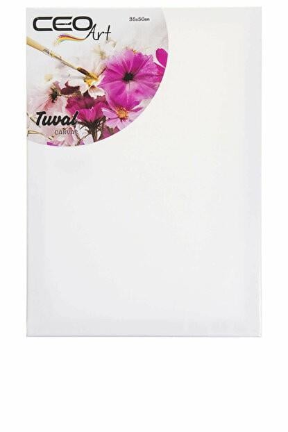 Ceoart Tuval Düz 35X50Ceoart Tuval Düz 35X50 - Kırtasiyem.netTuvaller