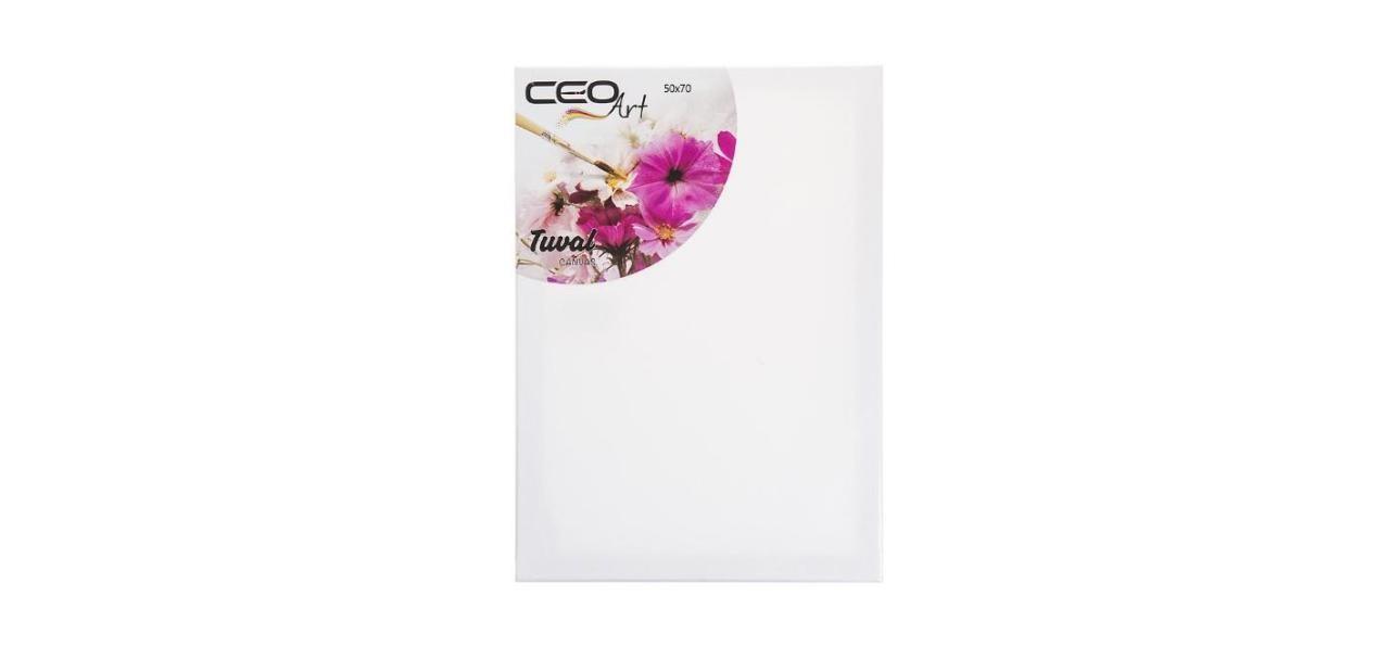 Ceoart Tuval Düz 50X70Ceoart Tuval Düz 50X70 - Kırtasiyem.netTuvaller