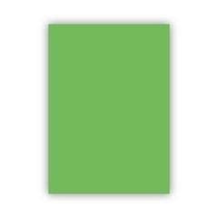 Doğan Fon Kartonu 50X70 It 190 Green 50*70 120GrDoğan Fon Kartonu 50X70 It 190 Green 50*70 120Gr - Kirtasiyem.netFon Kartonu