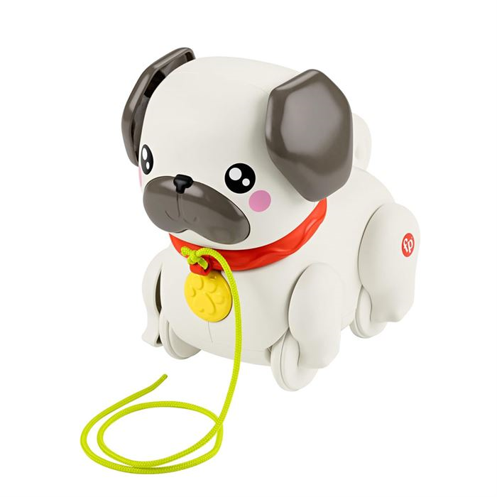 Fisher Price Minik Dostumla Yürüyüş 8.Sınıf