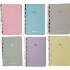 Gıpta Mıcro Notes Sp.Sert.Kpk. Def.17X24 100Yp NoktalıSpiralli Karton Kapak Defterler