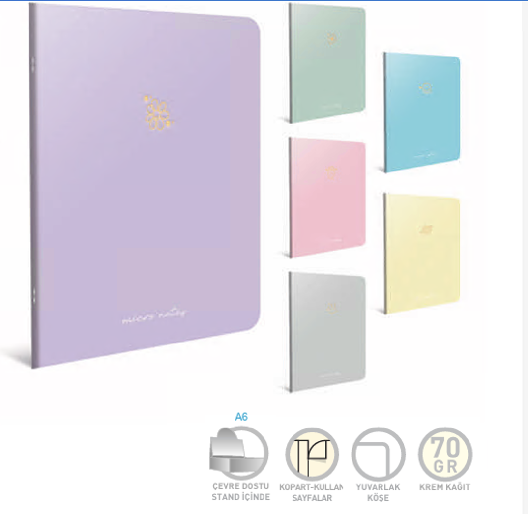 Gıpta Micro Notes Tel Dkş.Krt.Kpk.Def. 13X21 60 Yp.ÇizgisizOkul Defterleri