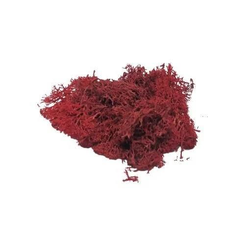Jordan Yosun 3011 Kırmızı 10 GRJordan Yosun 3011 Kırmızı 10 GR - Kirtasiyem.net3D Maketler