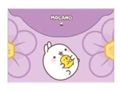 Keskin Molang A4 Çıtçıtlı Dosya (Plastik)Sert Kapak Defterler
