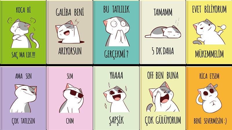 Lilamor Cute Cat Tel Dikiş Defter 7,5X10 32 Syf._300 (10 Ass.)Lilamor Cute Cat Tel Dikiş Defter 7,5X10 32 Syf._300 (10 Ass.) - Kirtasiyem.netSlime