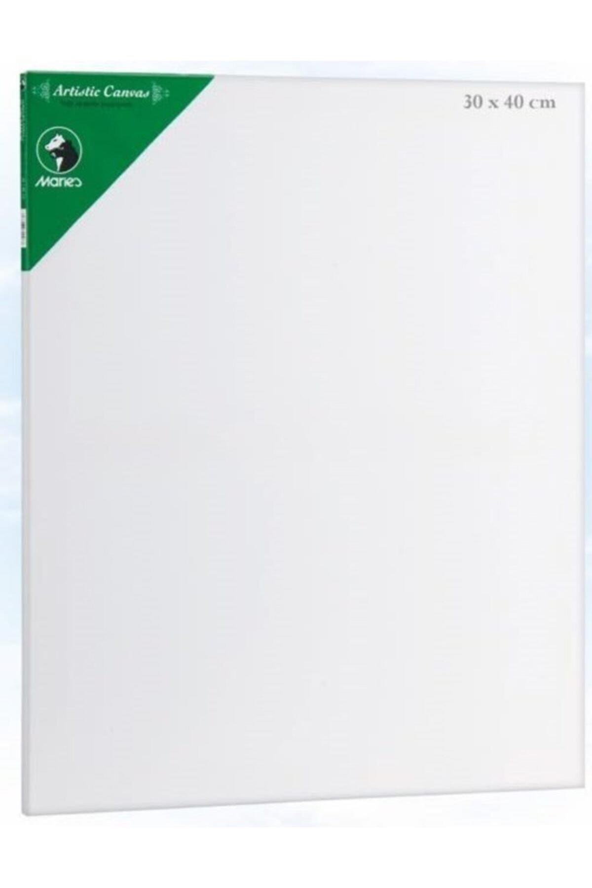 Maries Tuval 30X40 E5309Maries Tuval 30X40 E5309 - Kırtasiyem.netTuvaller