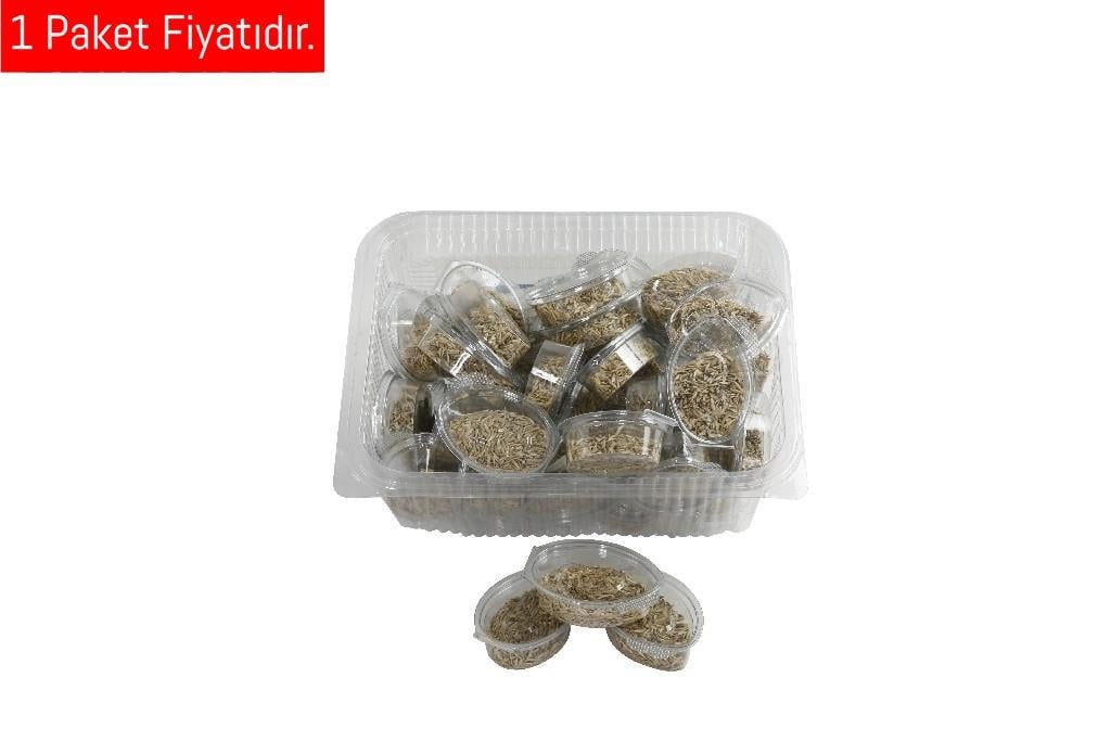 Misyon Çim Tohumu  ST05054 (1 Adet)Misyon Çim Tohumu  ST05054 - Kirtasiyem.netEğitici Materyaller