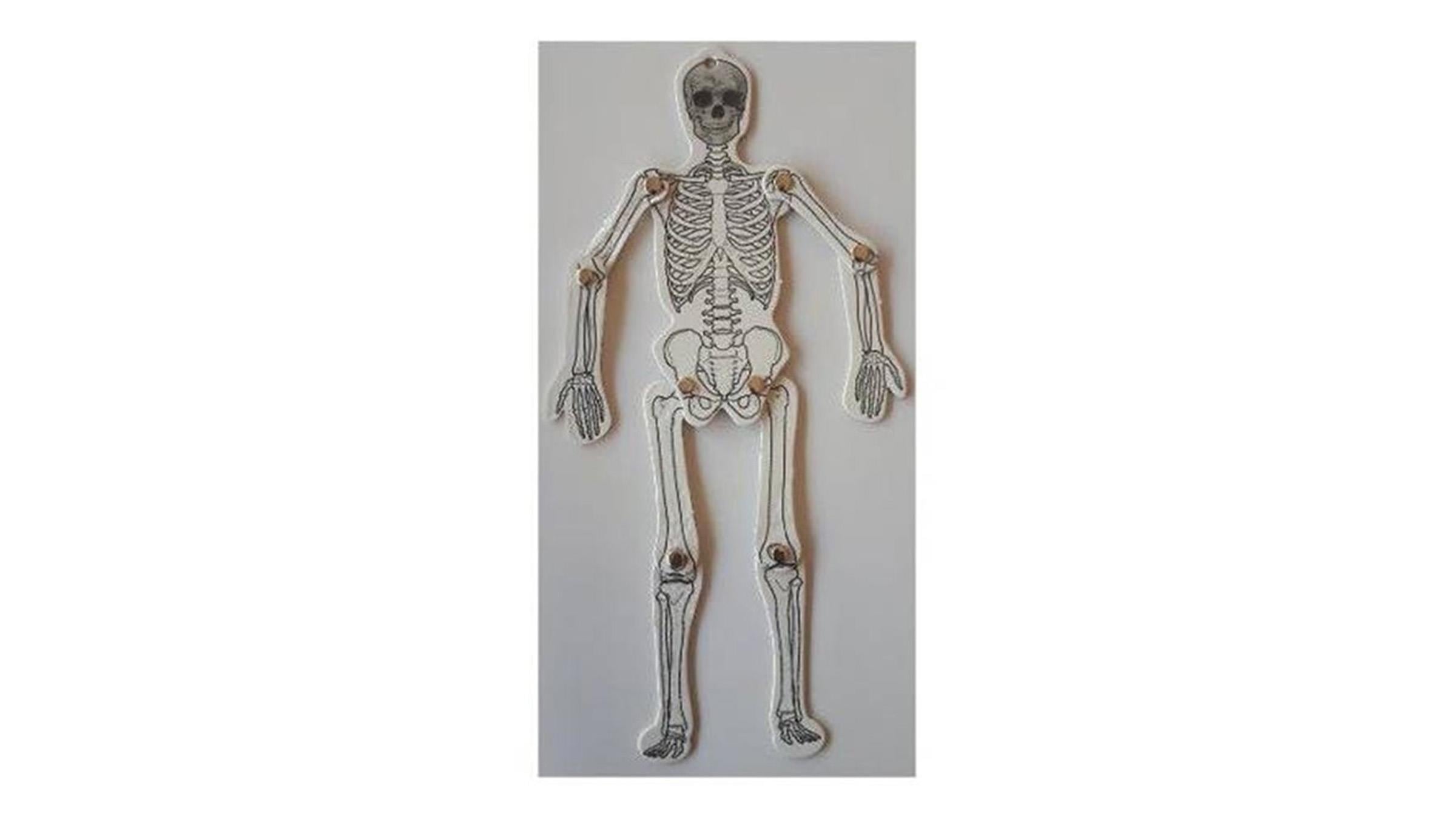 Misyon Karton İskelet Model Yapımı A-4 ST08007Misyon Karton İskelet Model Yapımı A-4 ST08007 - Kirtasiyem.netEğitici Materyaller