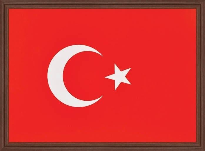 Panda Türk Bayrağı (Mdf Çerçeve ) 21X30 Pan 423Panda Türk Bayrağı (Mdf Çerçeve ) 21X30 Pan 423 - Kirtasiyem NetOkul Lehva Ve İşaretleri