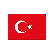 Platin Türk Bayrağı A3 10 LuPlatin Türk Bayrağı A3 10 Lu - Kirtasiyem.netStickerlar