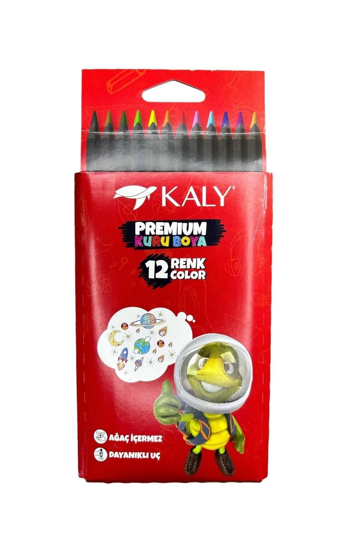Silka Kaly Prıme Tam Boy 12'Li Kuru Boya ART.612