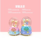 Snow Globe LLM-HDY00968.Sınıf