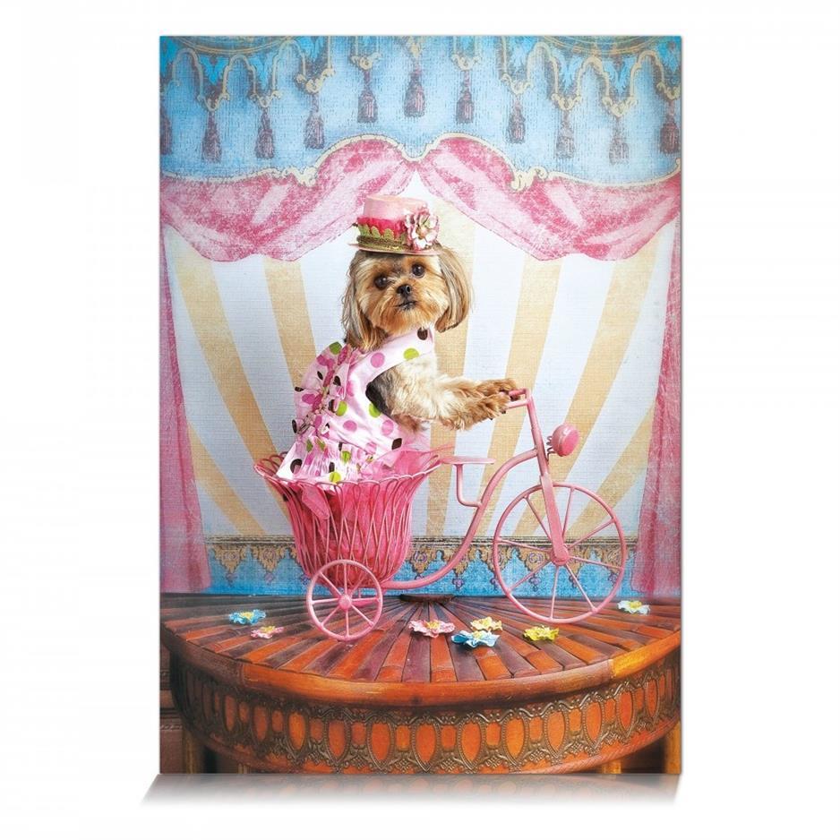 Star 500 Parça Puzzle Hayalperest Gezgin 1100912Ataşlar Ve Kıskaçlar