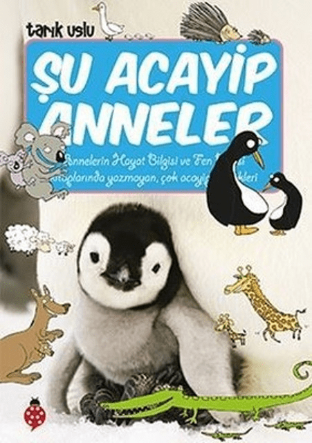 Şu Acayip AnnelerHikaye Kitapları