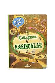Teleskop Çalışkan Karıncalar8.Sınıf